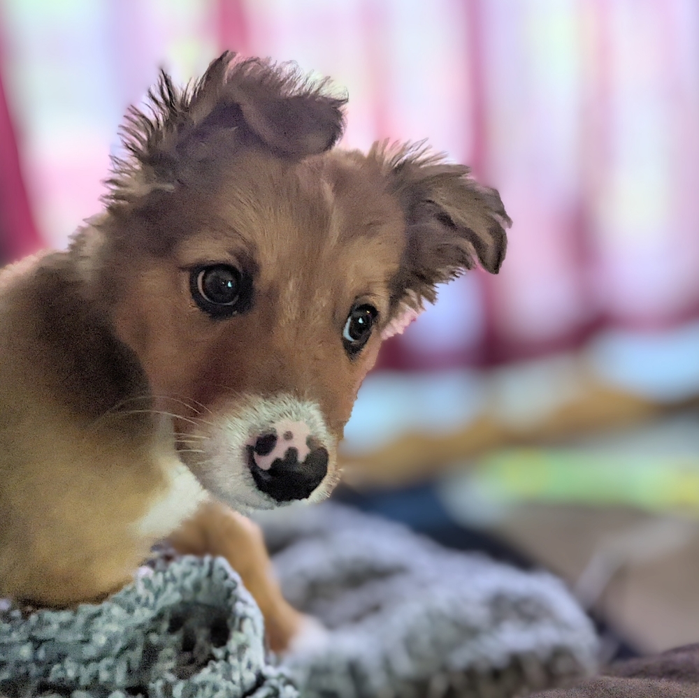 Hi, Neil Here!